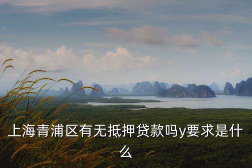 上海市青浦區商業貸款，上海青浦名誠小額貸款股份有限公司證件號碼