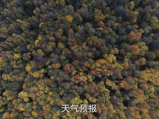 天氣預報