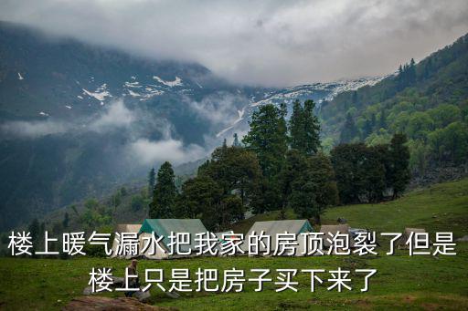 樓上暖氣漏水把我家的房頂泡裂了但是樓上只是把房子買(mǎi)下來(lái)了