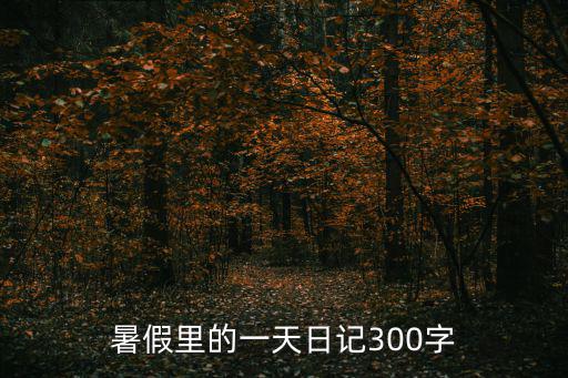 暑假里的一天日記300字