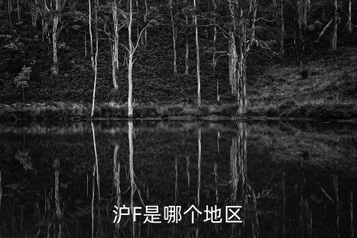 杜F 上海市，滬F是哪個地區(qū)
