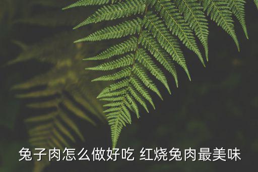  兔子肉怎么做好吃 紅燒兔肉最美味