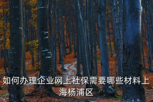如何辦理企業(yè)網(wǎng)上社保需要哪些材料上海楊浦區(qū)