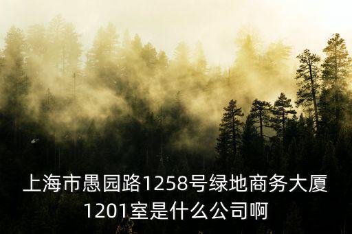 上海市愚園路1258號綠地商務大廈1201室是什么公司啊