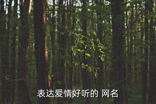 關于愛的網名,最后的告別!