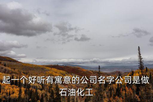 起一個好聽有寓意的公司名字公司是做石油化工