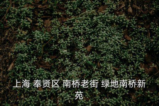上海市奉賢區南橋新苑房價，上海市奉賢區南橋鎮西渡扶蘭路南渡新宛屬于哪個街道