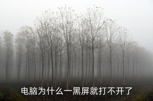 電腦為什么一黑屏就打不開了