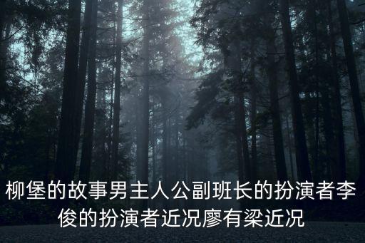 柳堡的故事男主人公副班長的扮演者李俊的扮演者近況廖有梁近況