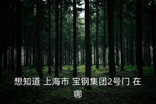 想知道 上海市 寶鋼集團2號門 在哪