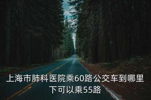上海市肺科醫院乘60路公交車到哪里下可以乘55路