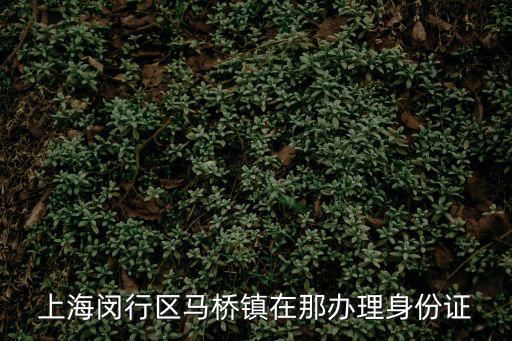 上海閔行區(qū)馬橋鎮(zhèn)在那辦理身份證