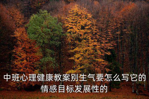 中班心理健康教案別生氣要怎么寫(xiě)它的情感目標(biāo)發(fā)展性的
