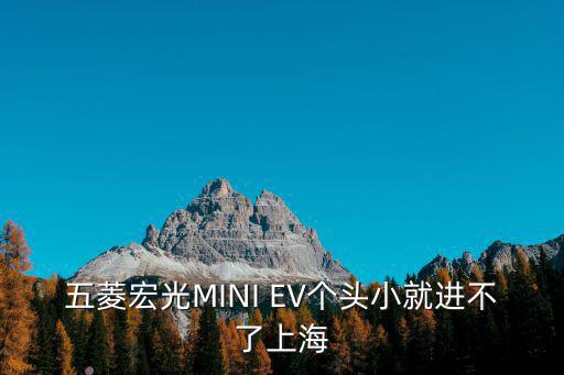 五菱宏光MINI EV個頭小就進不了上海