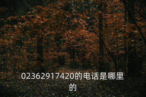 02362917420的電話是哪里的