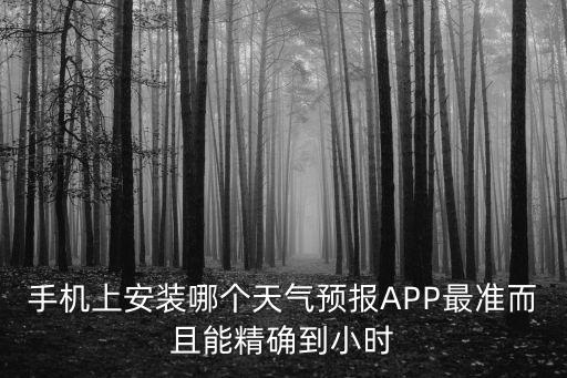 手機(jī)上安裝哪個(gè)天氣預(yù)報(bào)APP最準(zhǔn)而且能精確到小時(shí)