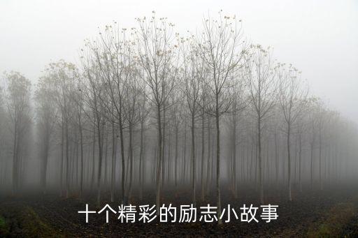 十個精彩的勵志小故事