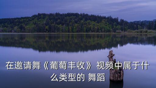 在邀請(qǐng)舞《葡萄豐收》 視頻中屬于什么類型的 舞蹈