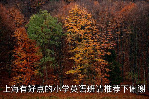 上海市陽光小學英文，上海哪里有好的小升初培訓學校小學數學英語補習去哪