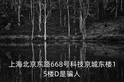 上海北京東路668號科技京城東樓15樓D是騙人