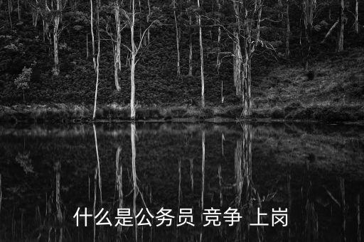 什么是公務(wù)員 競(jìng)爭(zhēng) 上崗