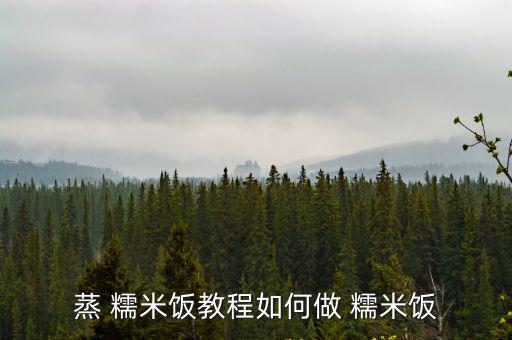 蒸 糯米飯教程如何做 糯米飯