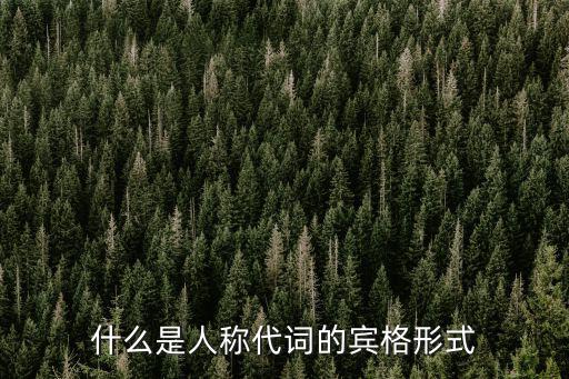 什么是人稱代詞的賓格形式