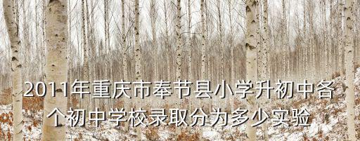 2011年重慶市奉節縣小學升初中各個初中學校錄取分為多少實驗