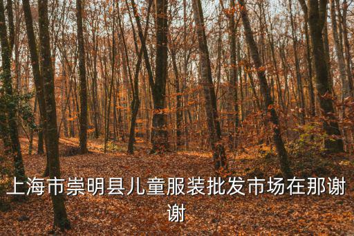 上海市崇明縣兒童服裝批發(fā)市場(chǎng)在那謝謝