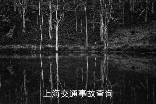 上海市智能輔助辦案，上海嘉定區(qū)律師有沒有經(jīng)驗(yàn)豐富 的