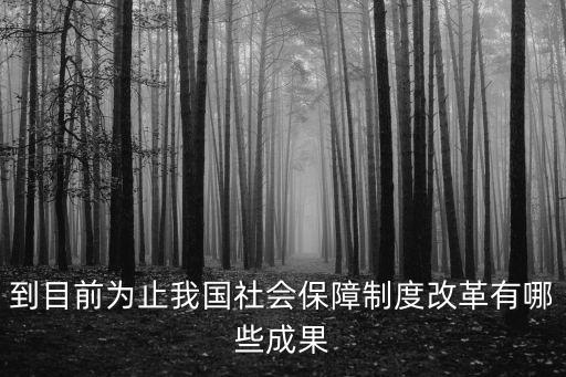 到目前為止我國社會保障制度改革有哪些成果