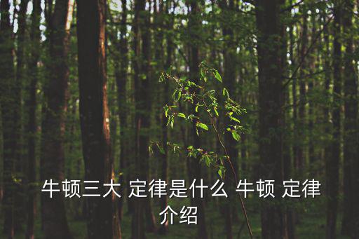  牛頓三大 定律是什么 牛頓 定律介紹