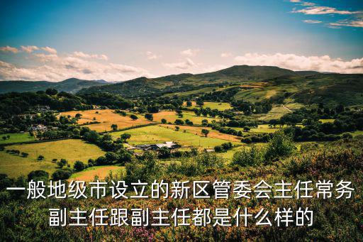 一般地級市設立的新區管委會主任常務副主任跟副主任都是什么樣的