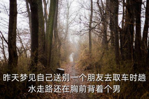 昨天夢見自己送別一個朋友去取車時趟水走路還在胸前背著個男