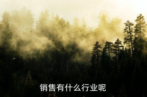 有什么行業,就業前景一片光明網絡營銷工程師分類較詳細