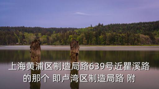 上海黃浦區制造局路639號近瞿溪路的那個 即盧灣區制造局路 附