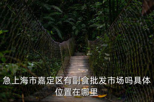 上海市嘉定區黃渡批發部，從嘉定區黃渡鎮聯西路去閔行區漕寶路鑫品南北干貨批發市場公交怎么坐