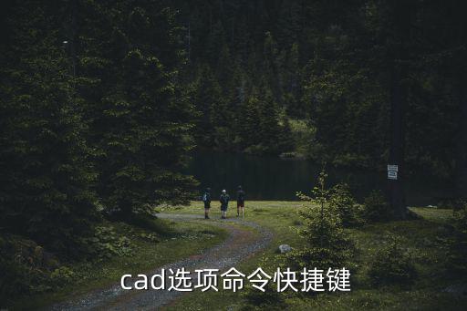 cad指令,在指令列中輸入op后空格就能打開選項