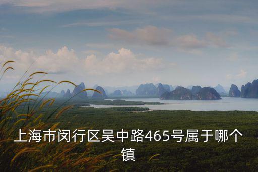 上海市思賢路465弄屬于什么鎮(zhèn)，上海市閔行區(qū)吳中路465號屬于哪個鎮(zhèn)