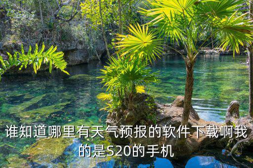 誰知道哪里有天氣預報的軟件下載啊我的是S20的手機