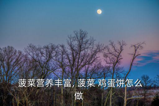菠菜雞蛋煎餅,蔬菜雞蛋糊攤煎餅成功釋放成功煎餅