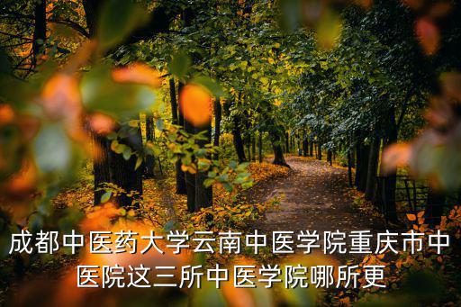 成都中醫(yī)藥大學云南中醫(yī)學院重慶市中醫(yī)院這三所中醫(yī)學院哪所更