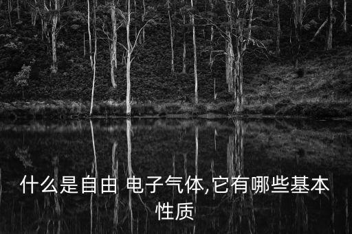 什么是自由 電子氣體,它有哪些基本性質