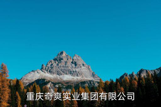 重慶奇爽實業(yè)集團有限公司