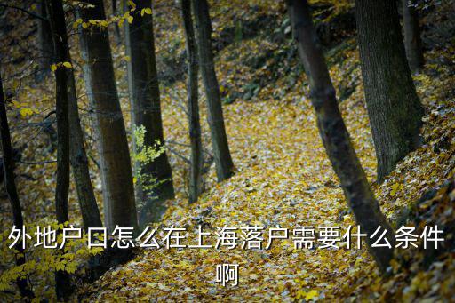 外地落上海戶口條件，外地戶口怎么在上海落戶需要什么條件啊