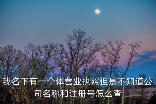 我名下有一個體營業執照但是不知道公司名稱和注冊號怎么查