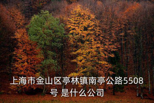 上海市金山區(qū)亭林鎮(zhèn)南亭公路5508號 是什么公司