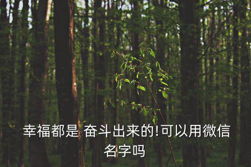  幸福都是 奮斗出來的!可以用微信名字嗎