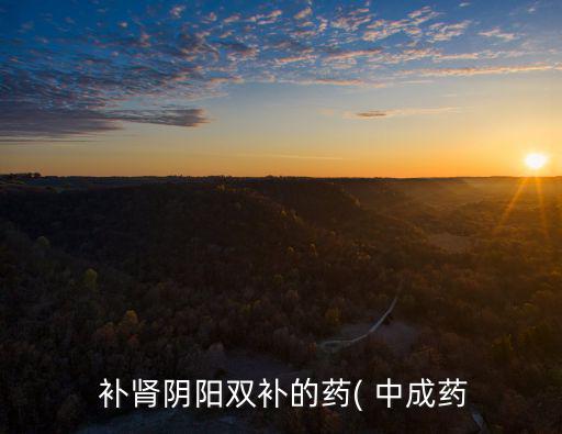 補腎的中成藥,補腎顧靖可用含有不同成分中成藥治療
