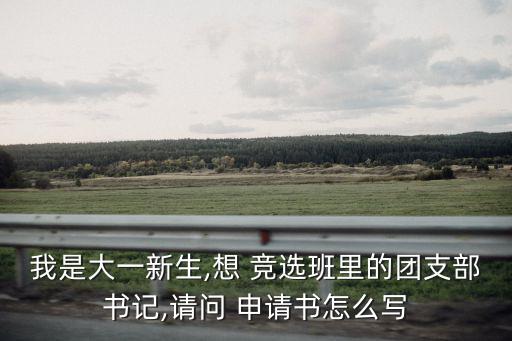 班委競選申請書,競選某某職位申請書內容簡潔明了
